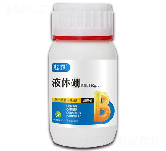 Һ�w��-��¶-�S�՘�