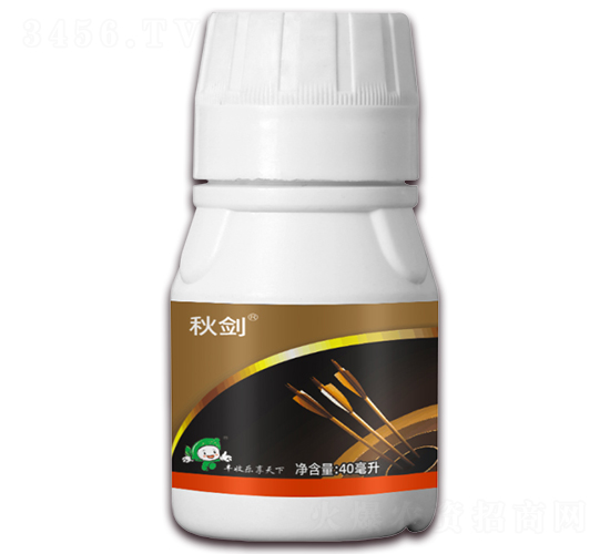 5%ʭ����-�-�S�՘�