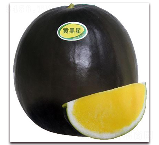 黃黑星西瓜-西瓜種子-禾誠種苗