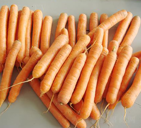 小甜生食胡蘿卜-胡蘿卜種子-禾誠種苗