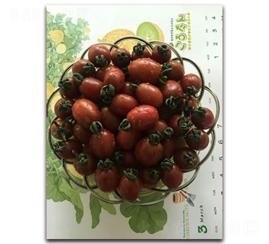 黑小子-番茄種子-禾誠(chéng)種苗