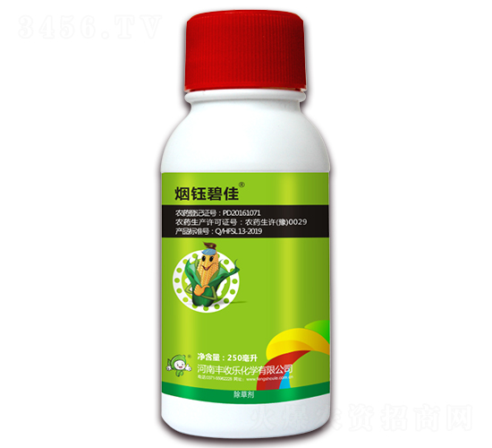 8%������¡-��╱̼�-�S�՘�