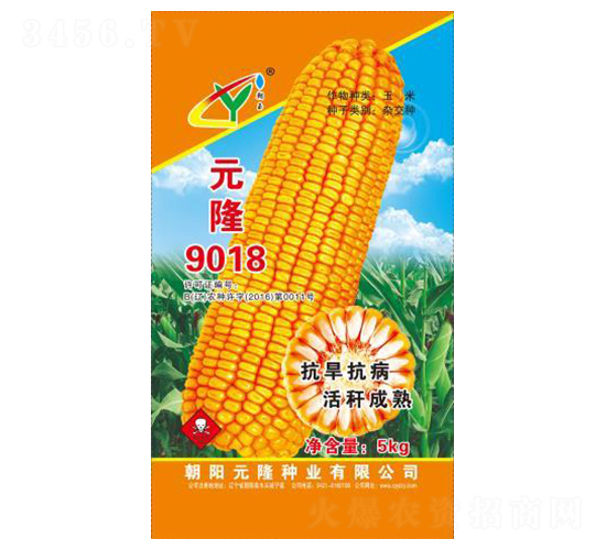 Ԫ¡9018-Ԫ¡�N�I(y��)