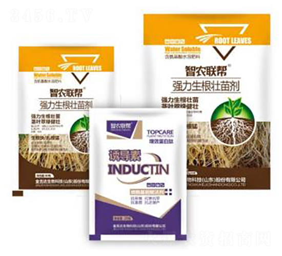 生根壯苗劑-金吉達(dá)