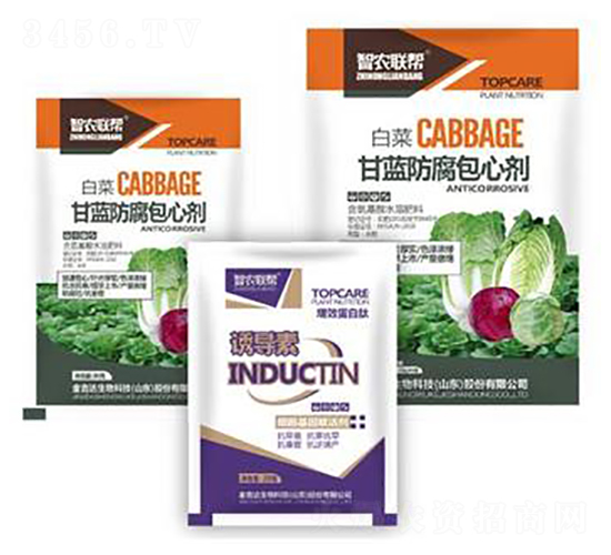 ���{(l��n)�������Ą�-���_(d��)