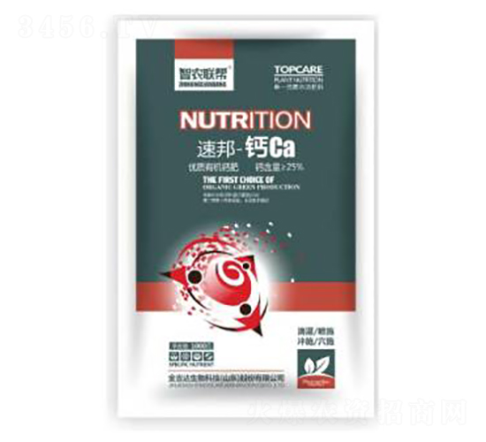 �ٰ�-�}Ca-���_(d��)