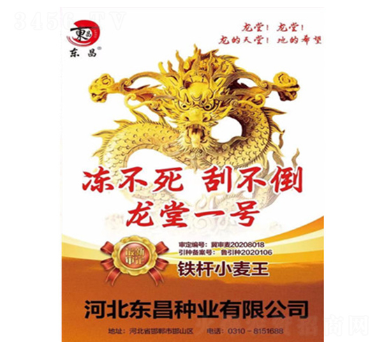 龍?zhí)靡惶?東昌