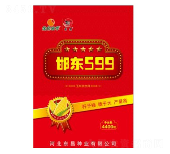 ���|599-�|��