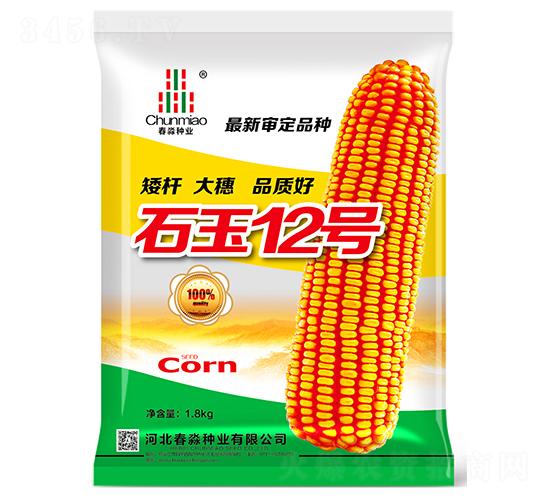 石玉12號-春淼種業(yè)