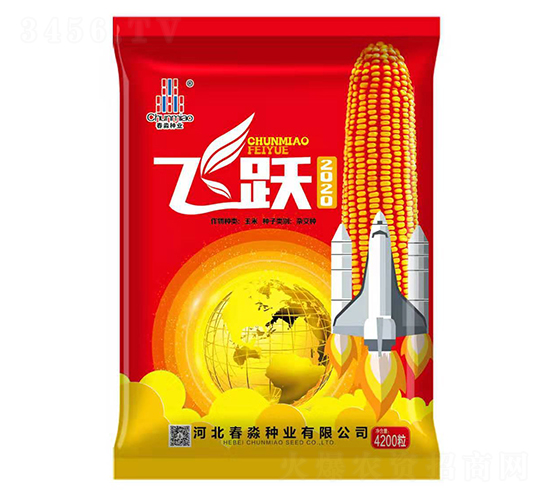 �w�S2020-�����N�I(y��)