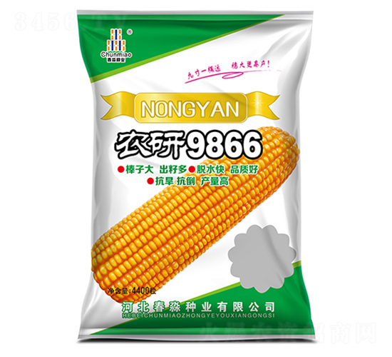 農(nóng)研9866-春淼種業(yè)