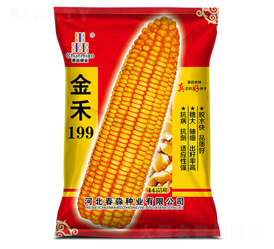 金禾199-春淼種業(yè)