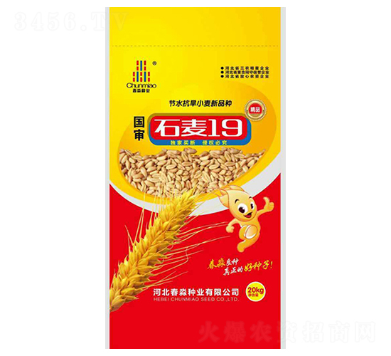 ʯ��19̖-�����N�I(y��)