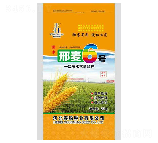 邢麥6號(hào)-春淼種業(yè)