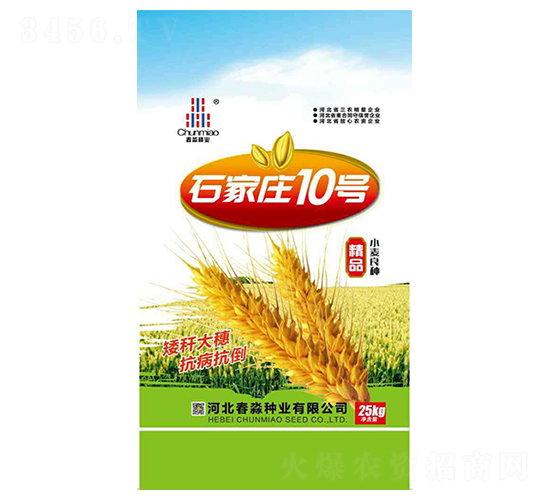 ʯ���f10̖-�����N�I(y��)