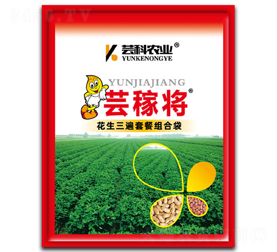 ���������ײͽM�ϴ�-�|�ڌ�-�|���r(n��ng)�I(y��)