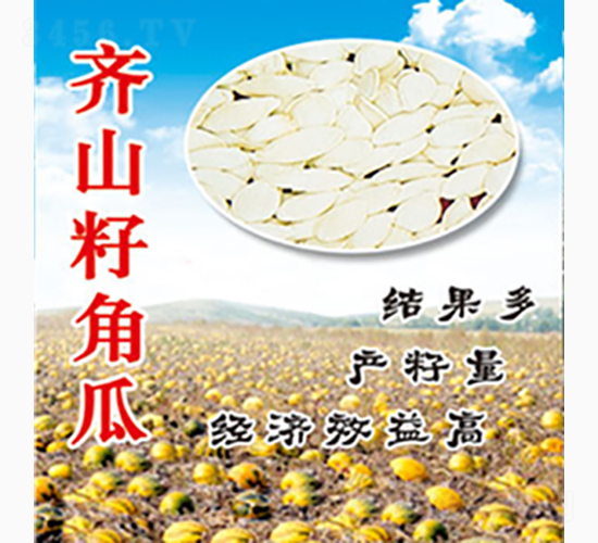 �Rɽ�ѽǹ�-�Rɽ�N�I(y��)