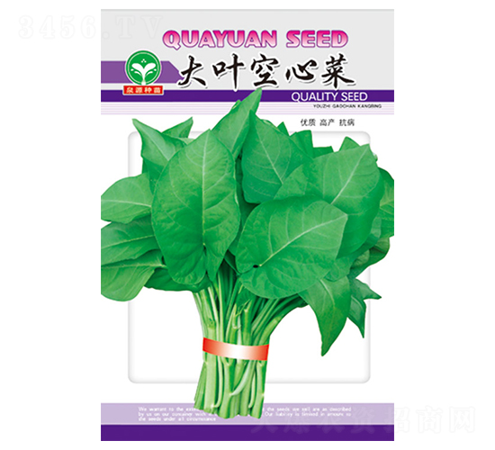 大葉空心菜-空心菜種子-泉源