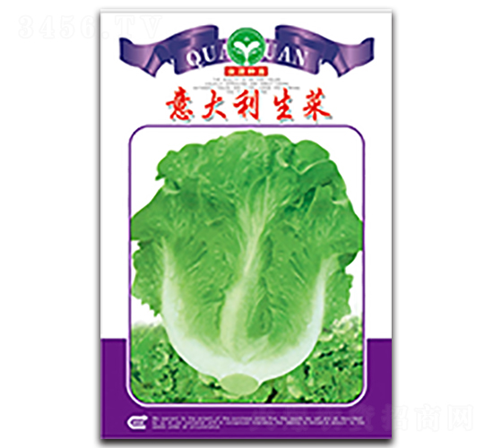 意大利生菜-生菜種子-泉源