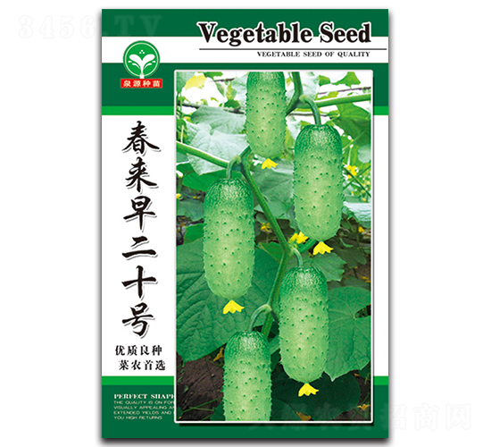 春來(lái)早二十號(hào)-黃瓜種子-泉源