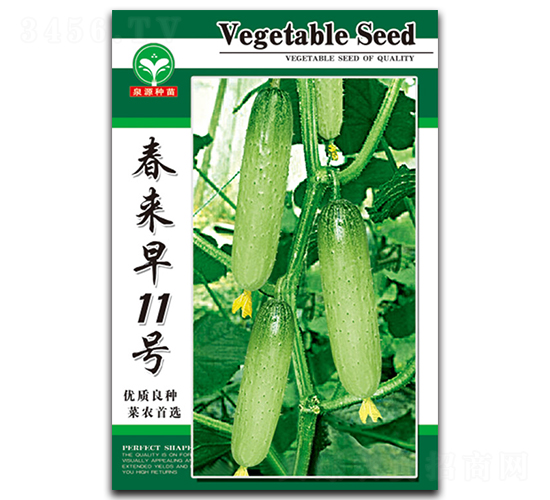 春來(lái)早11號(hào)-黃瓜種子-泉源