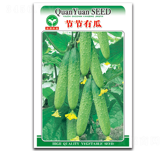 節(jié)節(jié)有瓜-黃瓜種子-泉源