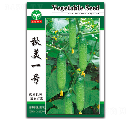 秋美一號-黃瓜種子-泉源
