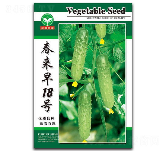 春來早18號-黃瓜種子-泉源