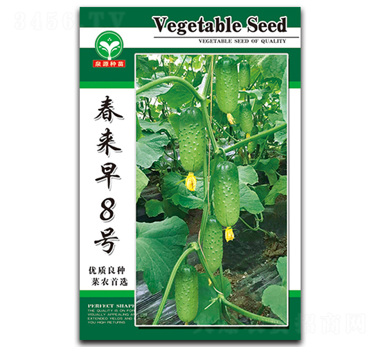 春來(lái)早8號(hào)-黃瓜種子-泉源