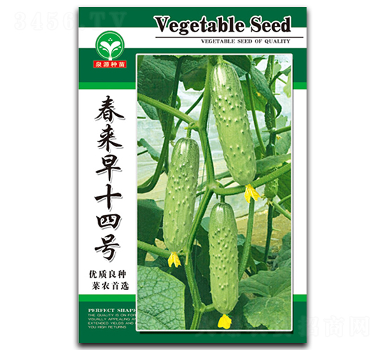 春來早十四號-黃瓜種子-泉源