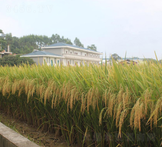 Ұ�マ(y��u)��z-�G���N�I(y��)