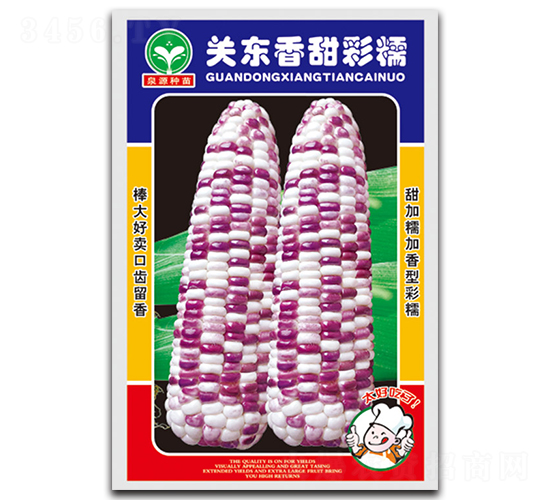 關(guān)東香甜彩糯-玉米種子-泉源