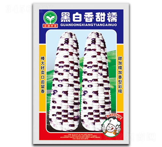 黑白香甜糯-玉米種子-泉源