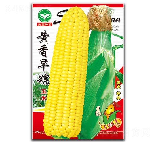 �S����Ŵ-���׷N��-ȪԴ