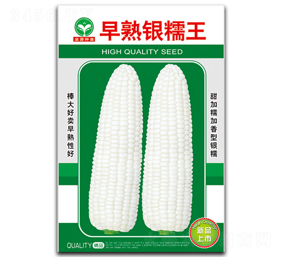 早熟銀糯王-玉米種子-泉源