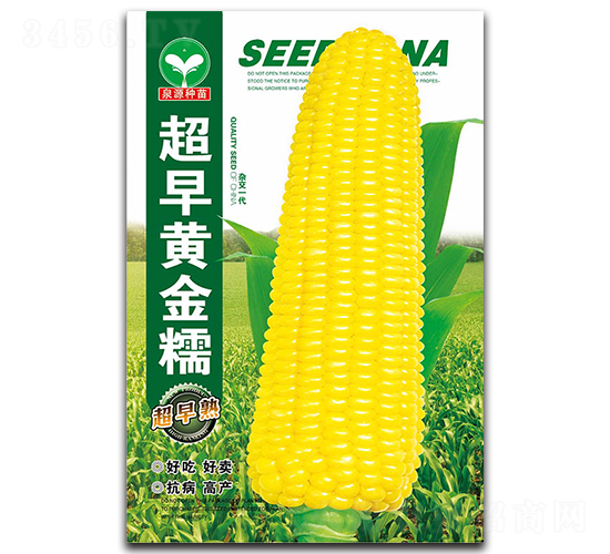 �����S��Ŵ-���׷N��-ȪԴ