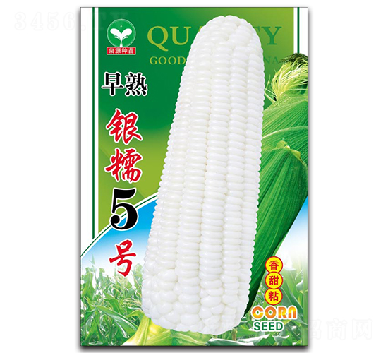 �����yŴ5̖-���׷N��-ȪԴ