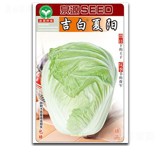 �������(y��ng)-�ײ˷N��-ȪԴ