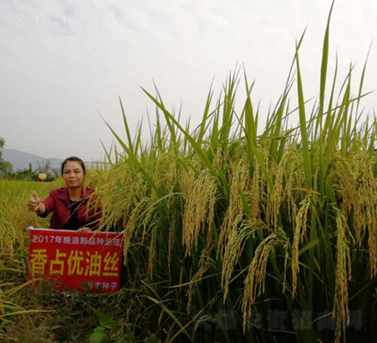 ��ռ��(y��u)�ͽz-�G���N�I(y��)