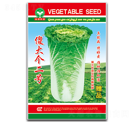傻大個(gè)二號(hào)-白菜種子-泉源