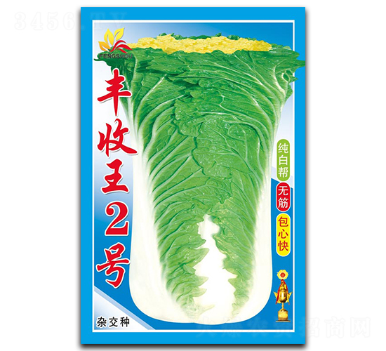 豐收王2號-白菜種子-泉源