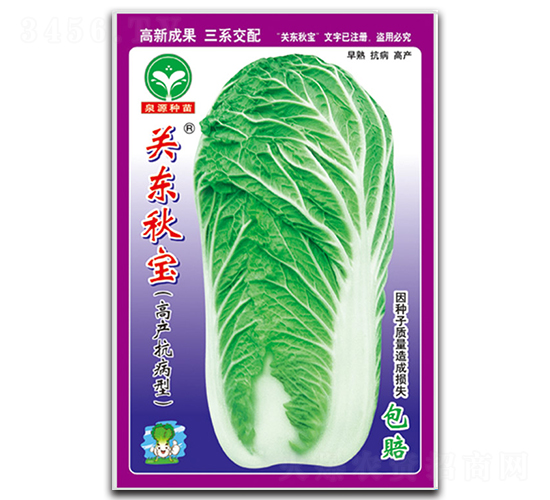 關(guān)東秋寶-白菜種子-泉源
