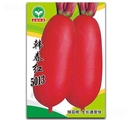 韓春紅5013-蘿卜種子-泉源