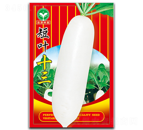 短葉十三-蘿卜種子-泉源