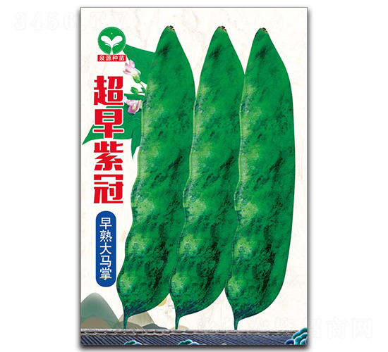 �����Ϲ�-���ǷN��-ȪԴ