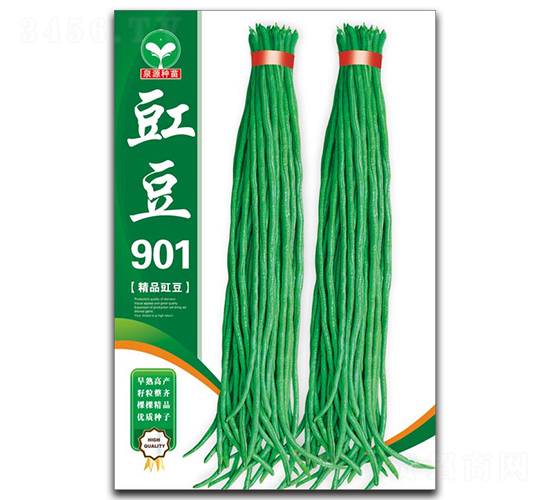 ����901-���ǷN��-ȪԴ