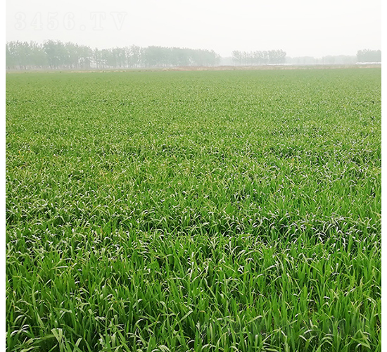 ���r(n��ng)20-�A��N�I(y��)