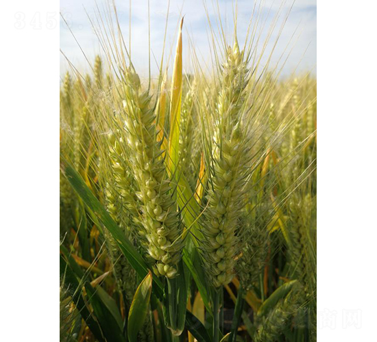 �A����10̖(h��o)-�A��N�I(y��)