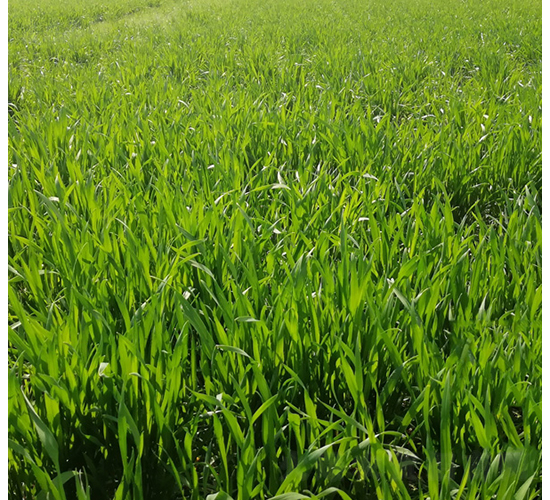 ¡ƽ��6̖(h��o)-�A��N�I(y��)