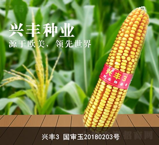 �d�S3-�d�S�N�I(y��)